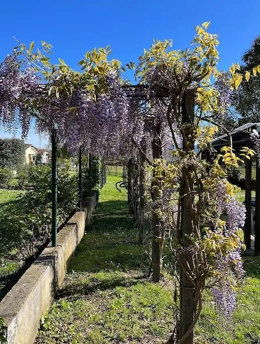 Casa Eda Villa Lucca Italien